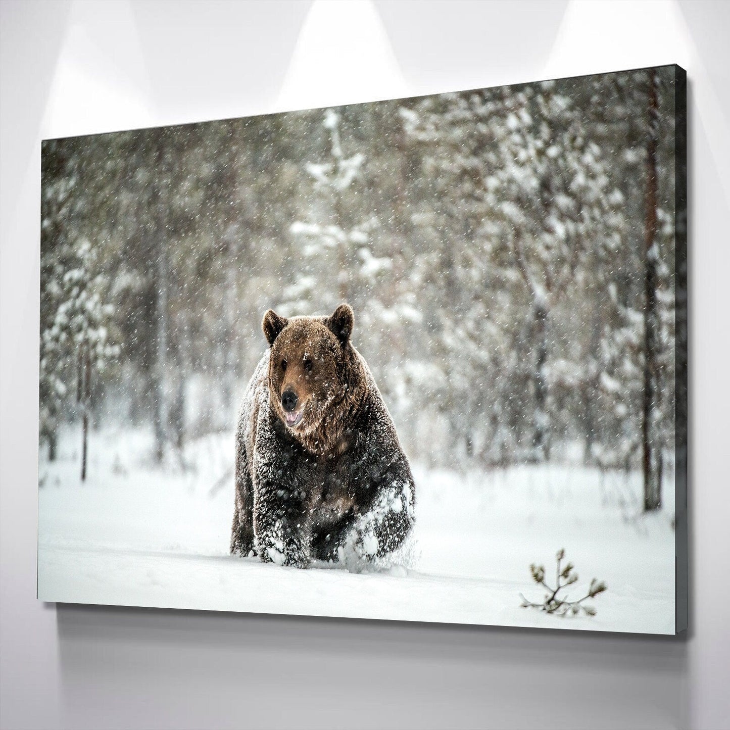 Brown Bear Canvas Wall Art | Bear Canvas | Wildlife Animal Prints in Snowy Forest Canvas Wall Art Set