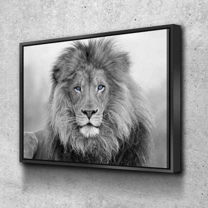 Lion Wall Art | Lion Canvas | Living Room Bedroom Canvas Wall Art Set | Black and White Blue Eyed Lion