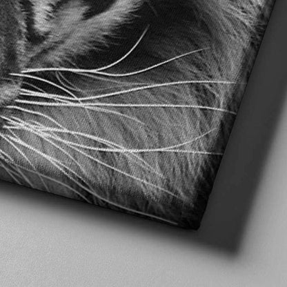 Tiger Wall Art | Tiger Canvas Art | Blue Eyed Tiger Canvas Wall Art Set