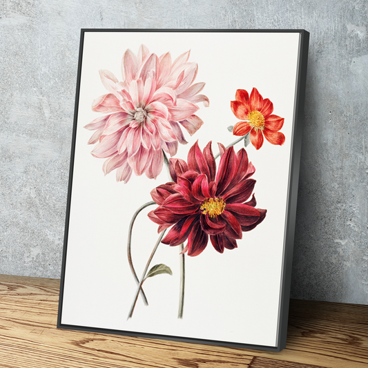 Dahlias by Willem Hekking Art Print Portrait Vintage Poster Canvas Wall Art Décor Gift