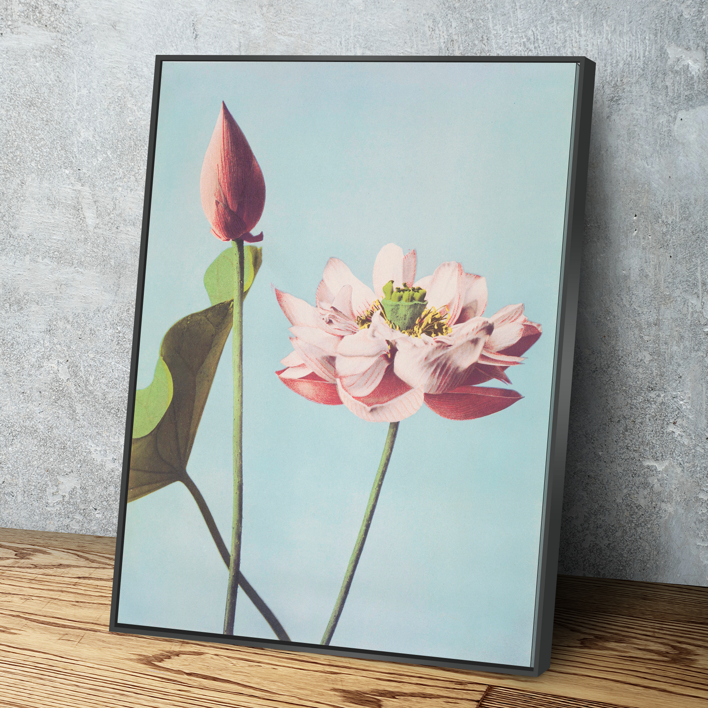 Ogawa Kazumasa’s Hand-Coloured Photographs of Flowers Bathroom Wall Art | Living Room Wall Art | Bathroom Wall Decor | Bathroom Canvas Art Prints | Canvas Wall Art