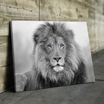 Lion Wall Art | Lion Canvas | Living Room Bedroom Canvas Wall Art Set | Black and White Blue Eyed Lion