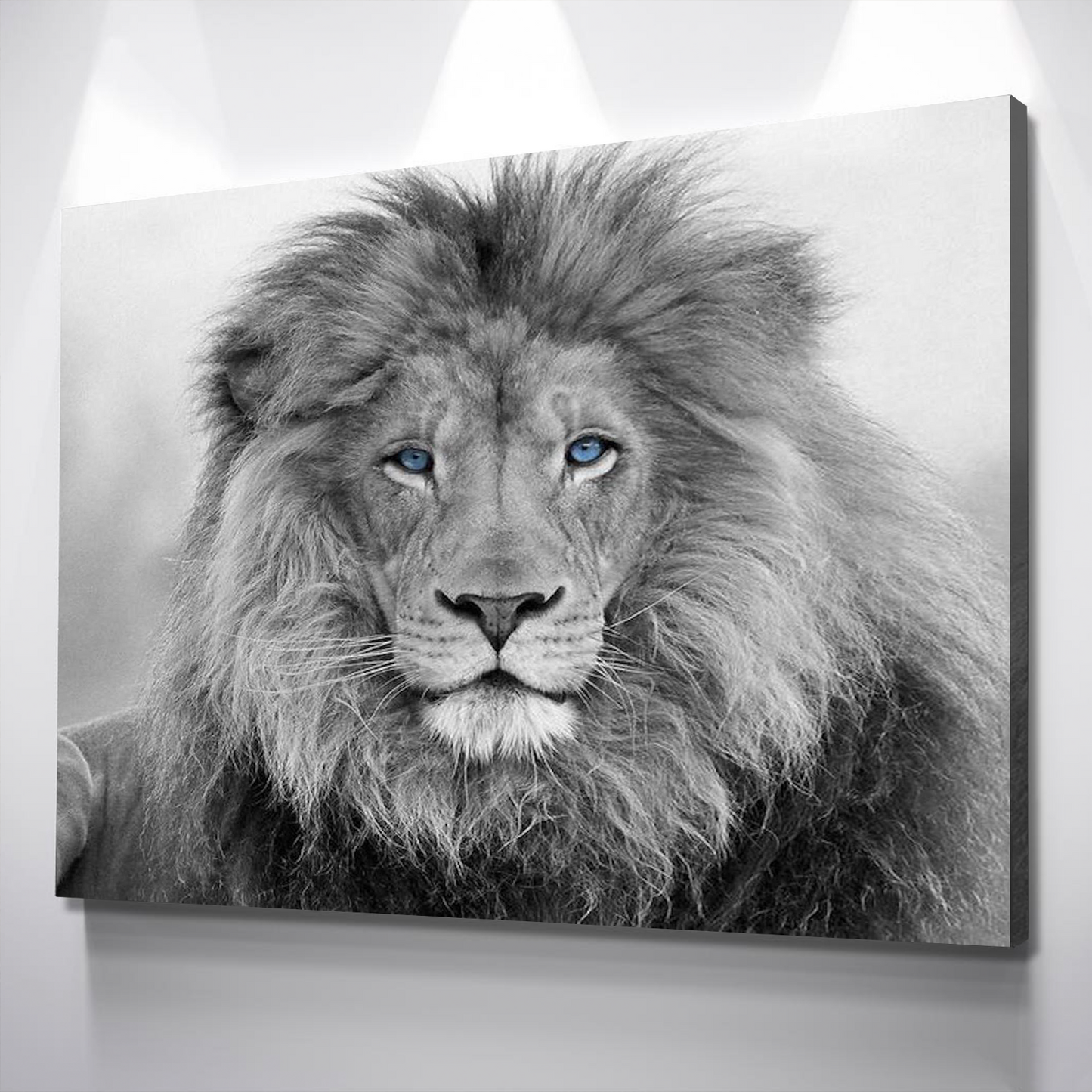 Lion Wall Art | Lion Canvas | Living Room Bedroom Canvas Wall Art Set | Black and White Blue Eyed Lion