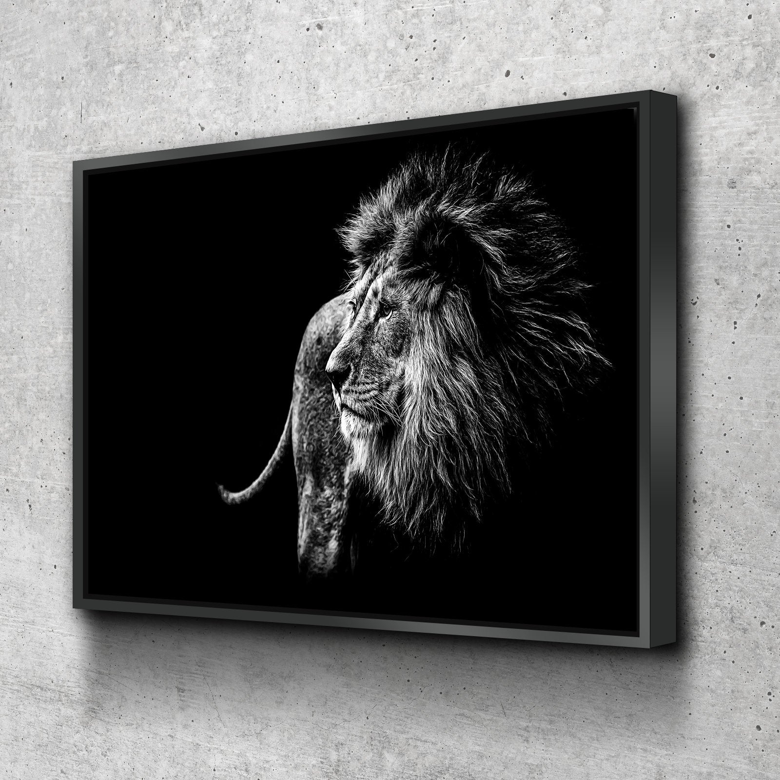 Lion Wall Art | Lion Canvas | Black and White Lion Canvas Wall Art Set BWR