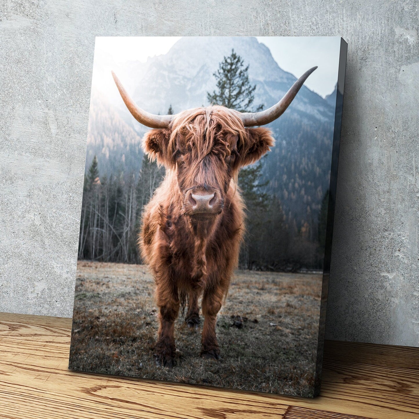 Highland Cow Picture Portrait Full Color | Highland Cow Wall Art Print Poster | Canvas Wall Art