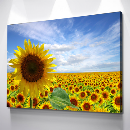 Sunflower Canvas Painting | Summer Sunflower Field Flowers Yellow | Sunflower Canvas Wall Art | Sunflower Wall Decor Print | Living Room Bedroom Wall Decor